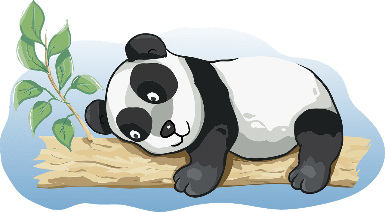 The Little Bear: In Search of Lost Attention